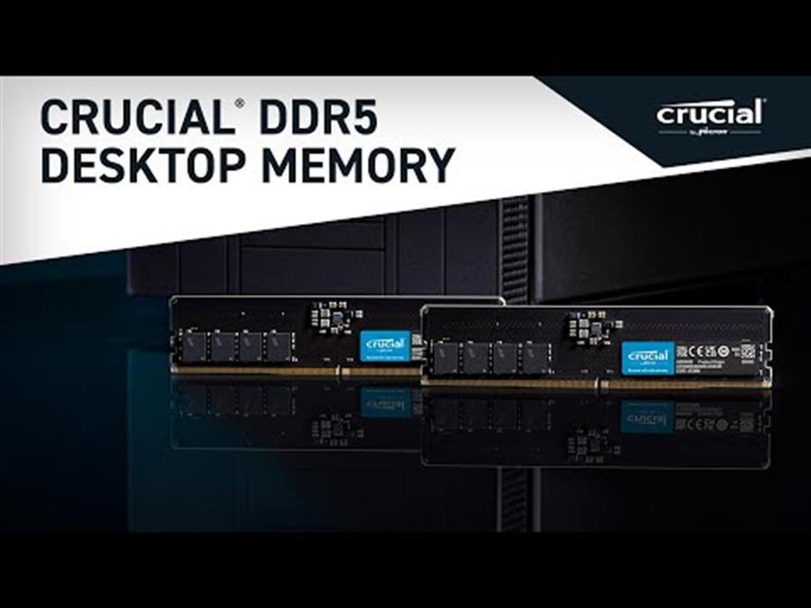 Memoria RAM DDR5 8GB 4800MHz Crucial